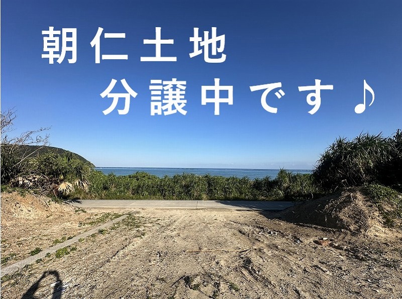 �X�[�p�[�A�k��4����@���m�r�[�`�A�ڂ̑O�����n��