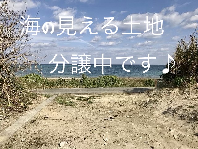 �X�[�p�[�A�k��4����@���m�r�[�`�A�ڂ̑O�����n��